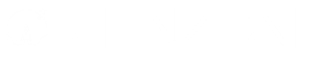 SpinZone Logo